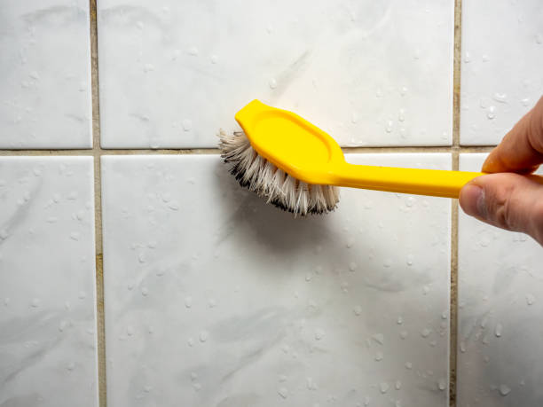 Best Insurance-Related Mold Remediation in Franklin Lakes, NJ