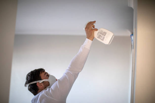 Best Residential Mold Remediation in Franklin Lakes, NJ