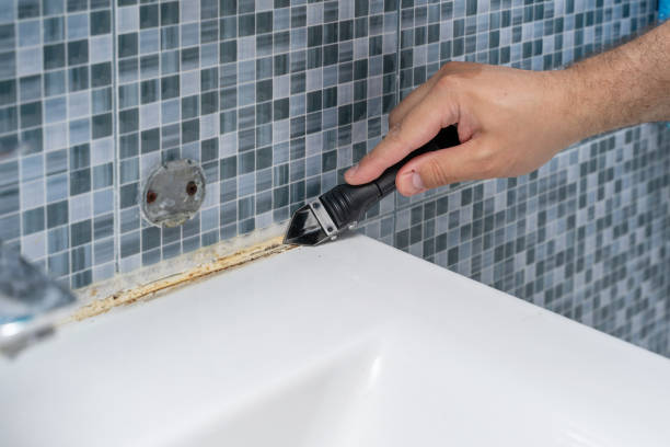 Best Mold Remediation for Schools in Franklin Lakes, NJ