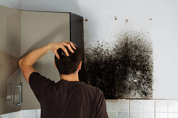 Best HVAC Mold Remediation in Franklin Lakes, NJ